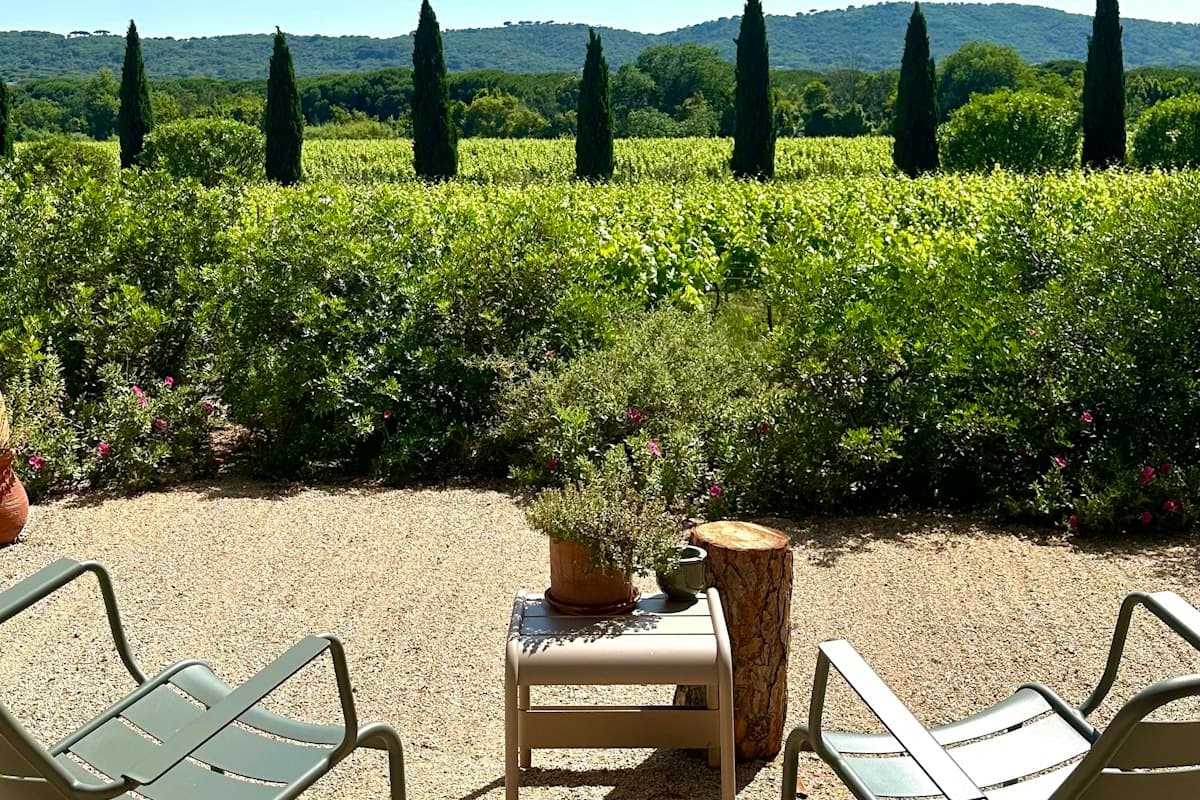 Two green metal chairs and a small table with a potted herb on a pea gravel patio beside a hedge
