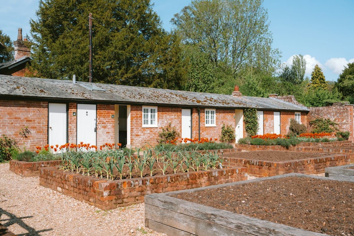 Brick and wooden raised beds filled with dark soil and young plants, on a gravel path in front of a brick cottage row
