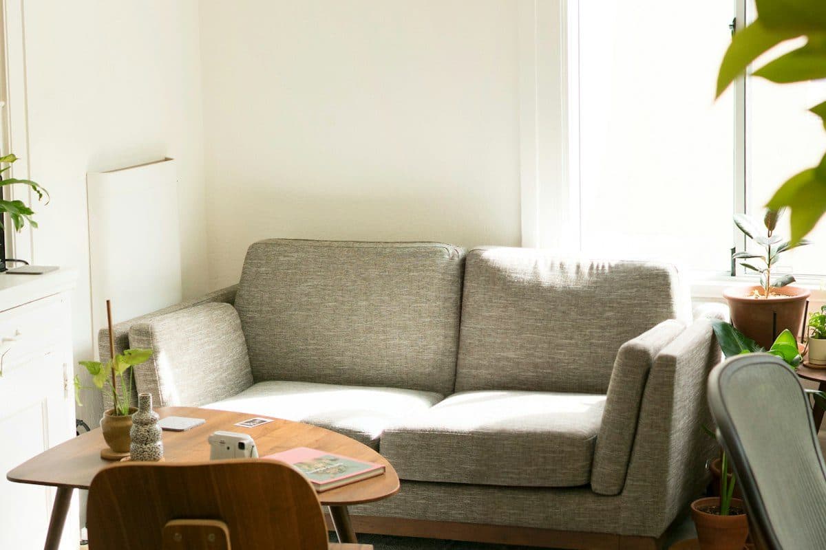 Bright studio living corner with a gray sofa, a small table, and plants